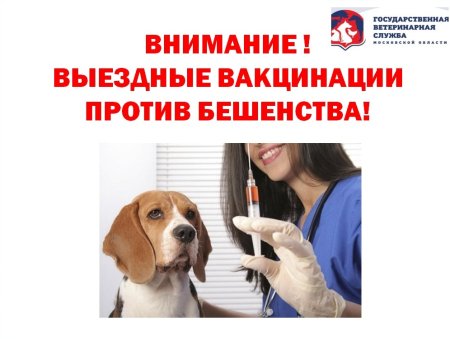Вакцинация животных от бешенства
