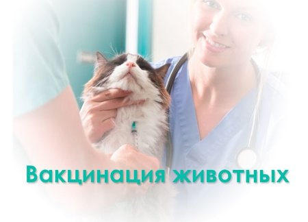 Вакцинация животных реклама