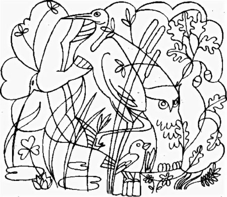 Птицы спрятались