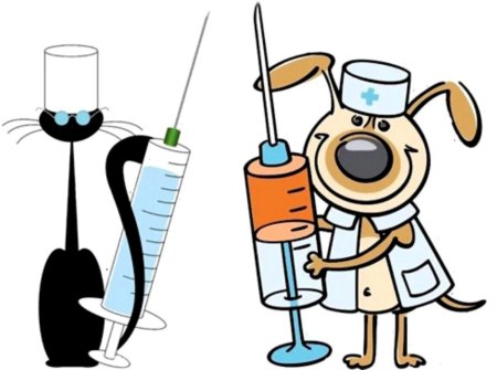 Помогите на прививки