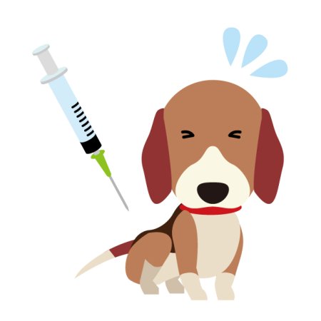 Вакцинация собак