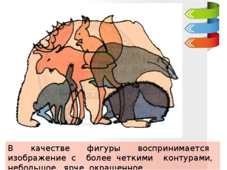 Сколько животных изображено на картинке