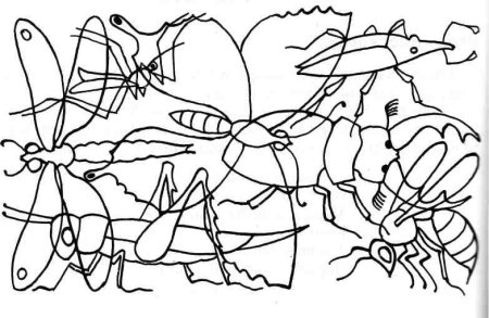 Задания по теме насекомые для дошкольников