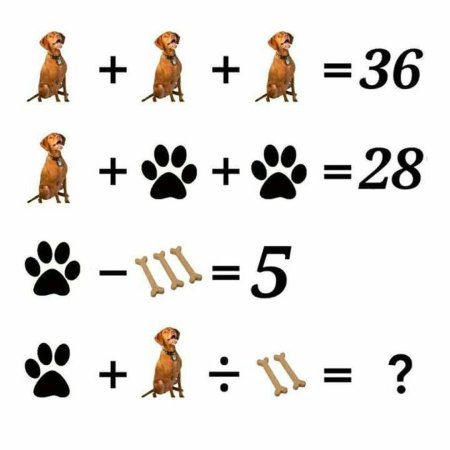 Задачки в картинках