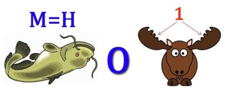 Ребусы про животных