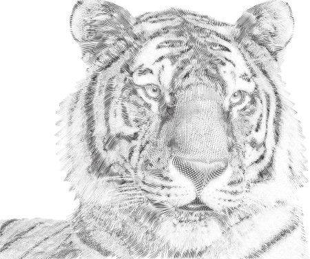 Рисунки штрихами животные