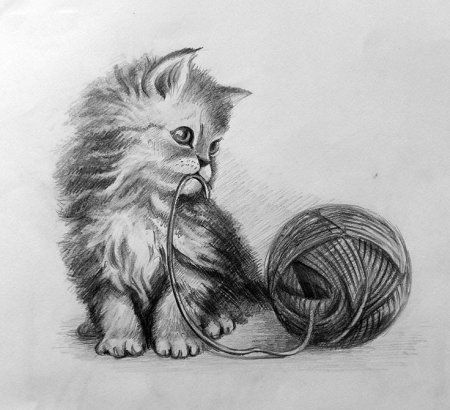 Котенок карандашом