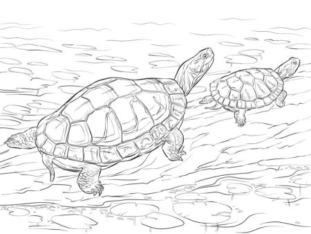 Морская черепаха раскраска