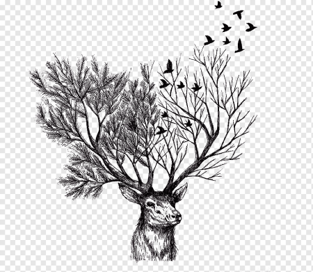 Эскиз оленя и деревьев набросок