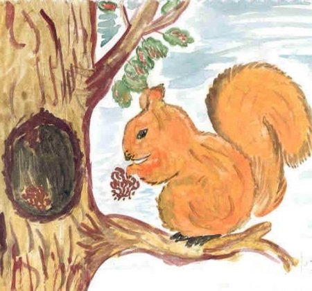 Белка рисунок детский