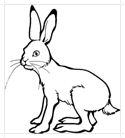 Заяц рисунок раскраска