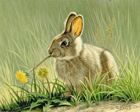 Художник - анималист Paul Krapf