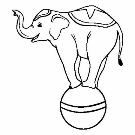 Слон в цирке раскраска