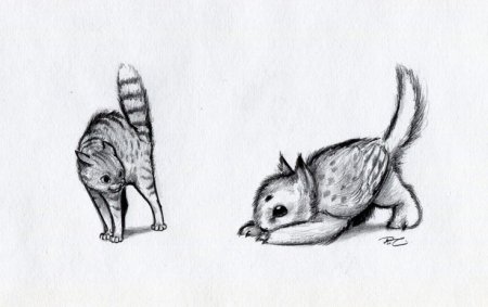 Необычные животные рисунки