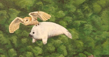 Сова и тюлень