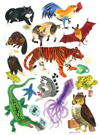 Рисунки коллекции животных