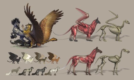 Грифон референс