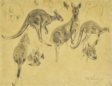 Рисунки смешанных животных