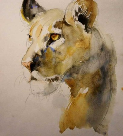 Акварельная живопись животные
