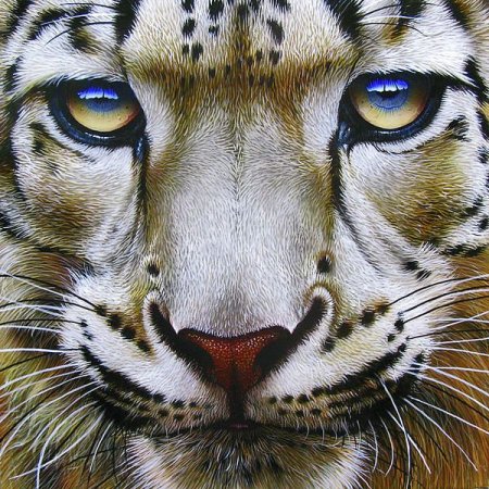 Тигриный взгляд алмазная живопись