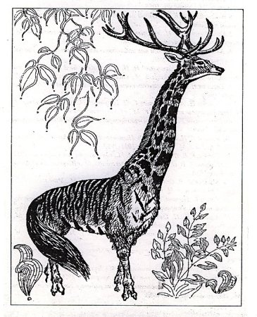 Лигр белый и человек