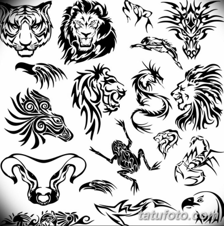 Анатомия собаки скелет Доберман