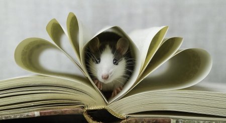 Животное с книгой