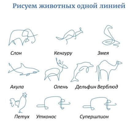 Рисунок одной линией животные