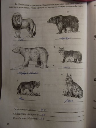 Одной линией