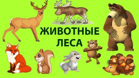 Дикие животные для детского сада