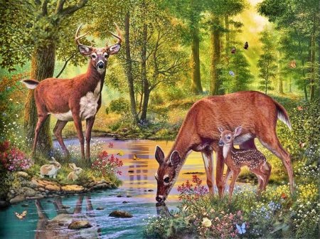 Художник дикой природы Розмари Миллетт