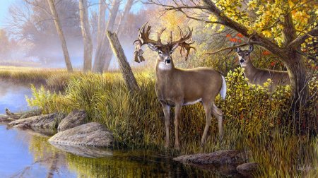 Художник Розмари Миллетт олени