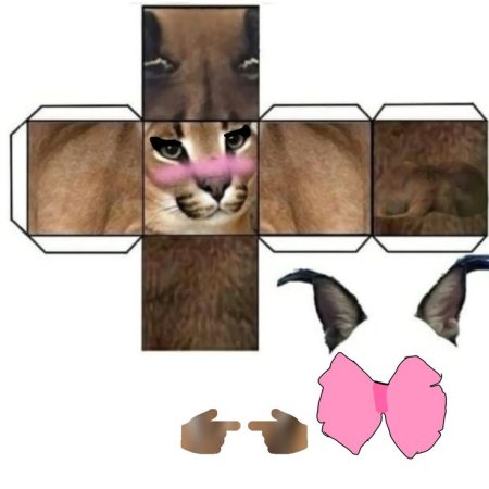 Шлёпа распечатка из бумаги