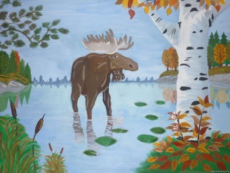 Рисунки на тему животные в лесу