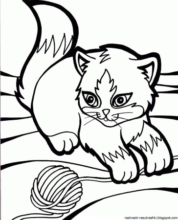 Раскраска. Котики
