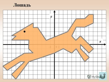 Лошадь на координатной плоскости