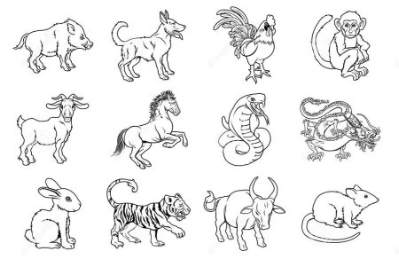 12 Символов животных