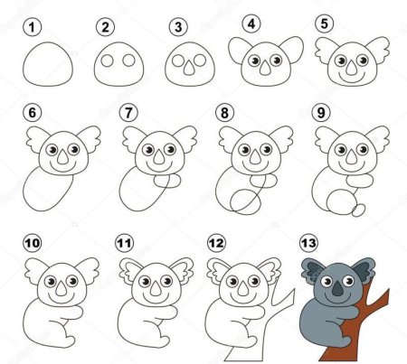 Поэтапное рисование коалы для детей