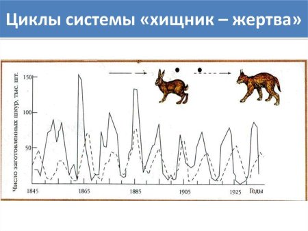 Фигуры на координатной плоскости