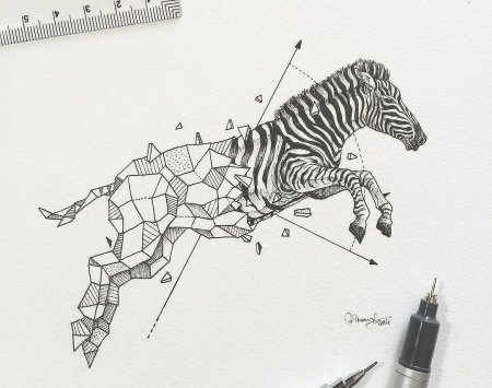 Графическая стилизация животных