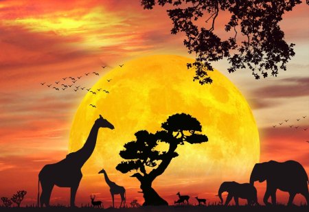 Животные на закате