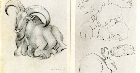 Домашние животные в графике