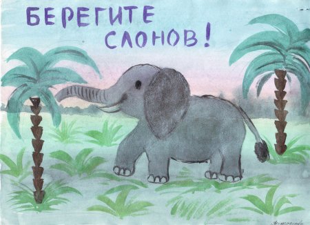 Рисунок на тему береги лес