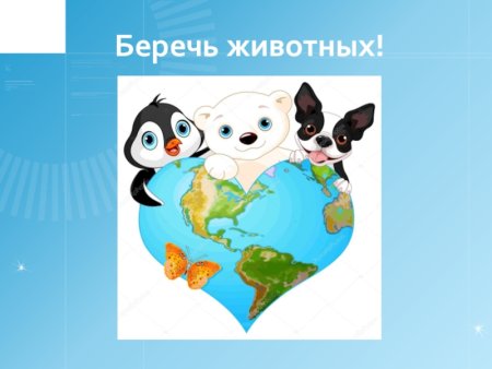 Берегите природу
