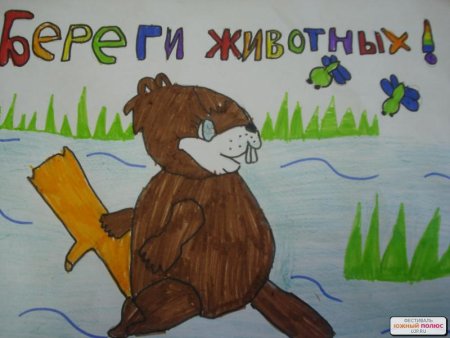 День защиты животных рисование