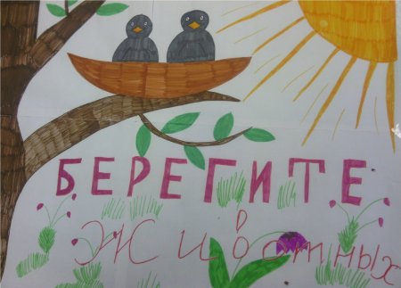 Плакат защита природы