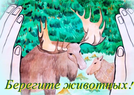 Плакат Защитим животных