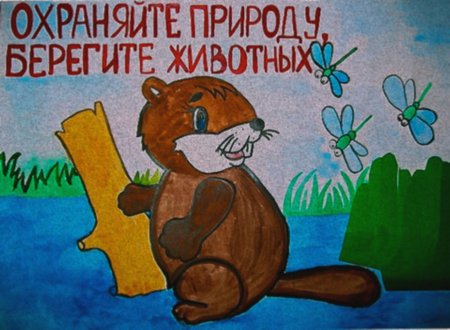 Плакат берегите животных