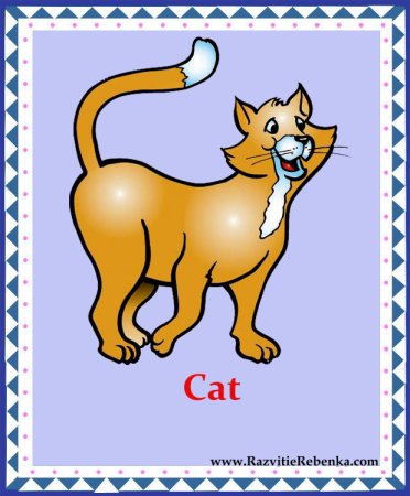 Карточки животных на английском языке