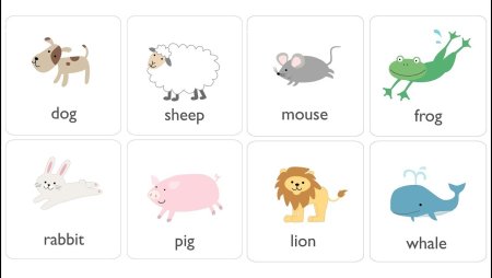 Животные на английском для детей